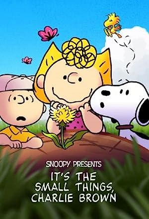 It’s the Small Things, Charlie Brown izle